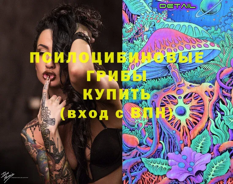 Псилоцибиновые грибы Cubensis  Моздок 